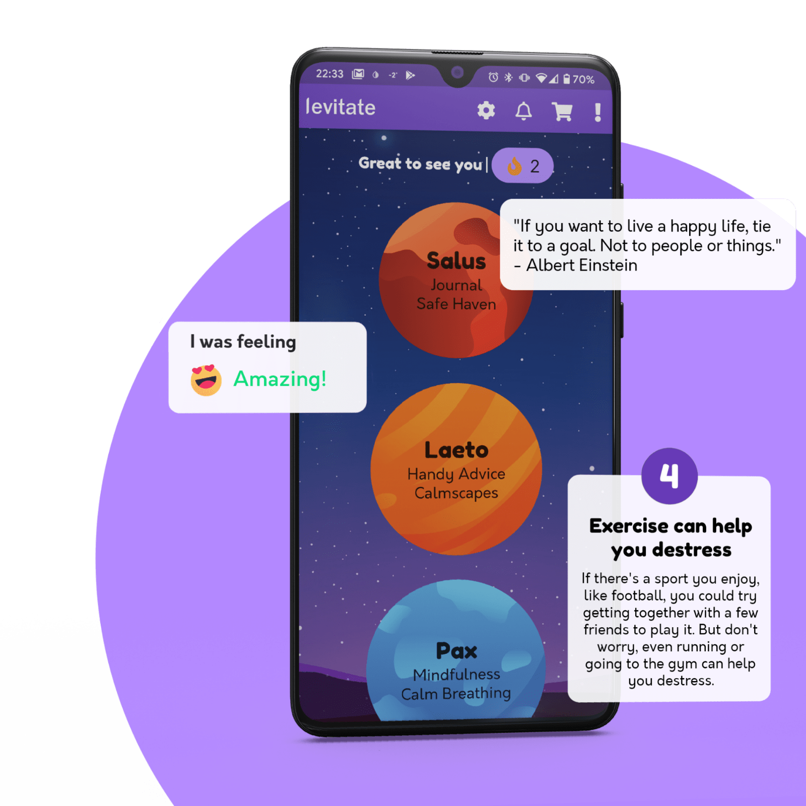 Screenshot of Levitate app